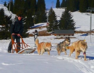  Descubrimiento del mushing en un seminario 